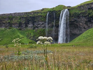  Seljalandsfoss Wasserfall Island Ringstraße