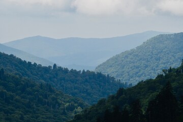 mountains in the fog