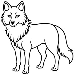 White Background Wolf