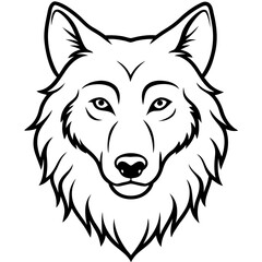 Fototapeta premium White Background Wolf