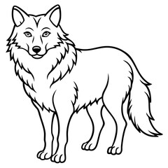 White Background Wolf
