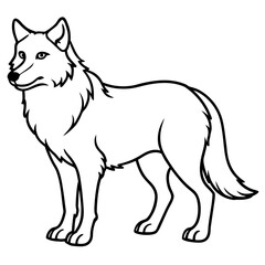White Background Wolf