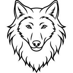 White Background Wolf
