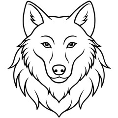 White Background Wolf