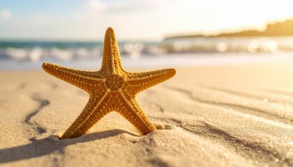 Starfish on Beach: A close-up of a starfish standing upright in golden sand with the ocean and a warm sunset sky in the background.