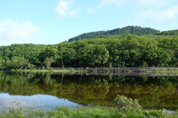 The shores of Loch Achray, Loch Lomond and Trossachs National Park, Scotland, UK