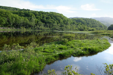 Fototapeta premium The shores of Loch Achray, Loch Lomond and Trossachs National Park, Scotland, UK