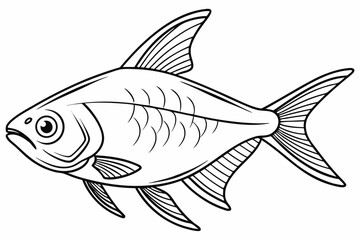 coloring page line art the tetra fish black vector