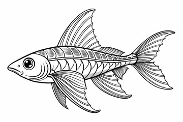 coloring page line art the sword tail black vector