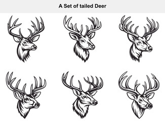 Set of Illustrative Deer Heads with Antlers