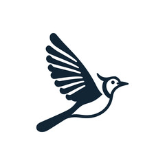 Elegant bird in flight, showcasing its wings against a minimalistic white background