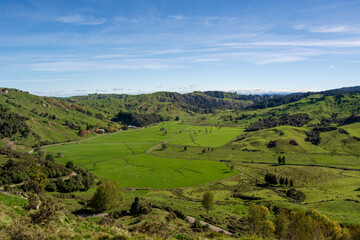 Obraz premium Lush Green Hills and Valleys Under Blue Sky