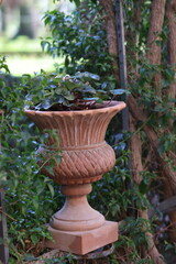 Spring garden of Valencia, atmospheric place.