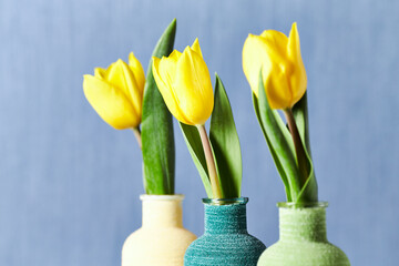 Yellow tulips on bright background. Copy space.	