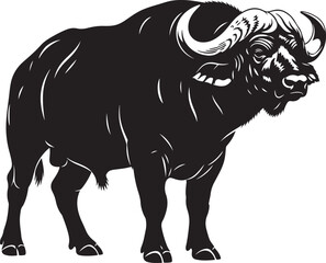 vector illustration of a bull