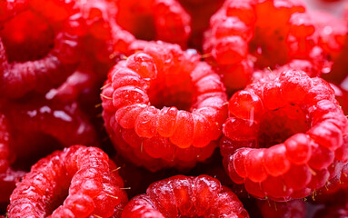 Composition with fresh ripe raspberries