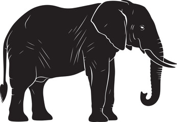 elephant vector illustration