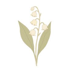 Lily of the Valley Botanical Illustration in Soft Hand-Drawn Style