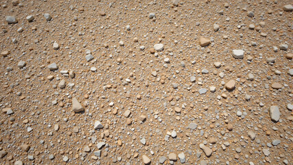 Detailed Overview of Sandy Terrain and Soil Composition