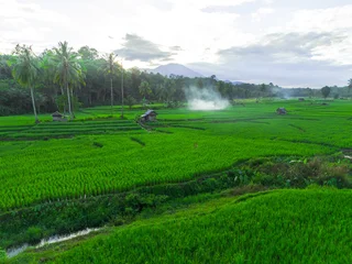 Foto auf Acrylglas Grün Beautiful morning view indonesia panorama landscape forest with beauty color and sky natural light  © rahmadhimawan