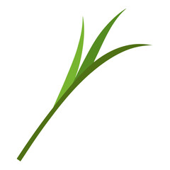 Obraz premium Green grass blades on a white background