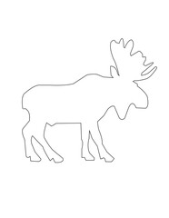 vector illustration of a white dog