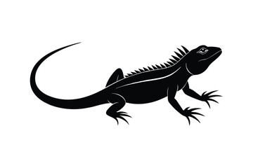 Fototapeta premium bearded dragon lizard