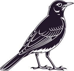 crow on a branch