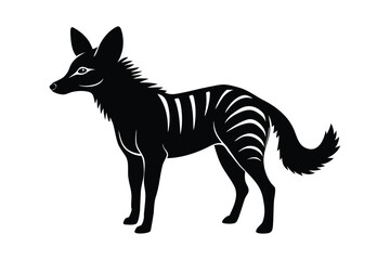 kangaroo vector illustration