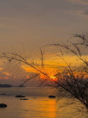 A fiery orange and yellow sunset paints the sky over a calm sea, viewed through the delicate silhouette of tree branches, with distant land visible.