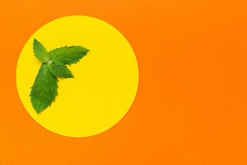 Green Mint Leaves on Yellow Circle with Vibrant Orange Background - Modern Minimalist Composition