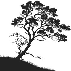 tree silhouette vector