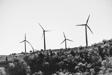 Black and white photo of modern wind turbines on a hilltop, surrounded by natural vegetation and a...