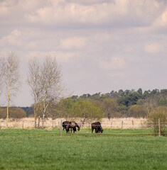 widoki i krajobrazy  © Marcin