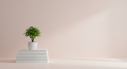 Fototapeta premium Small potted plant on a stack of white books.