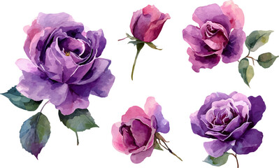 Fototapeta premium bouquet of pink roses