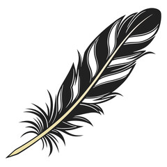 Obraz premium feather isolated on white