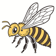 bee on white background