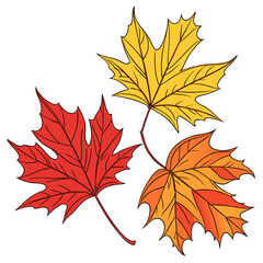 set of autumn leaves