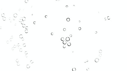 Water bubbles on white background, isolated on white background