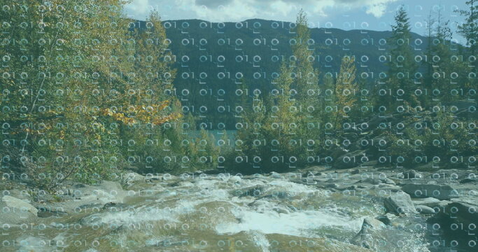 Fototapeta Rushing white water rapids flowing in mountain valley, with boulders, conifers and autumn foliage