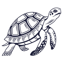 Charming turtle illustration featuring intricate patterns on its shell perfect for nature themes