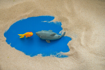 The concept of psychology. Sand therapy. A shark figurine attacking a goldfish, on the sand in a...