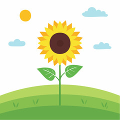 Sunflower blooming in a green field nature bright daylight cheerful environment scenic view