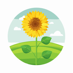Blooming sunflower in vibrant green fields nature bright and cheerful environment aerial view