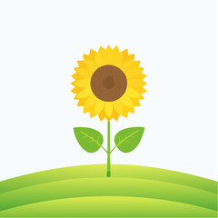 Blooming sunflower action garden location digital content bright environment close-up viewpoint nature concept for seo impact