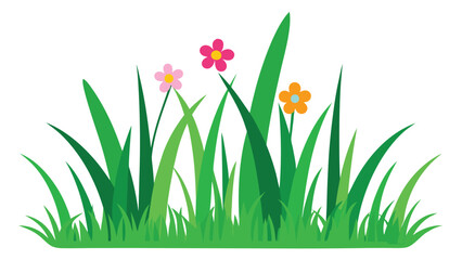 spring grass and flowers