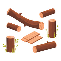 cinnamon sticks and spices