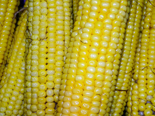 Pile of boiled corn. In Romania