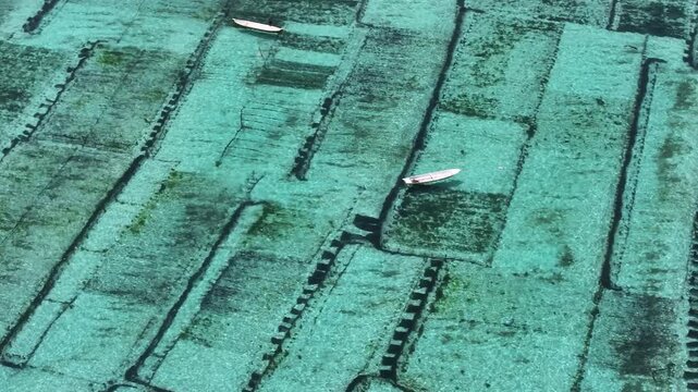 Aerial view of seaweed farms creating a geometric pattern in the aquamarine sea, with boats navigating the grid, Nusa Lembongan, Bali, Indonesia.